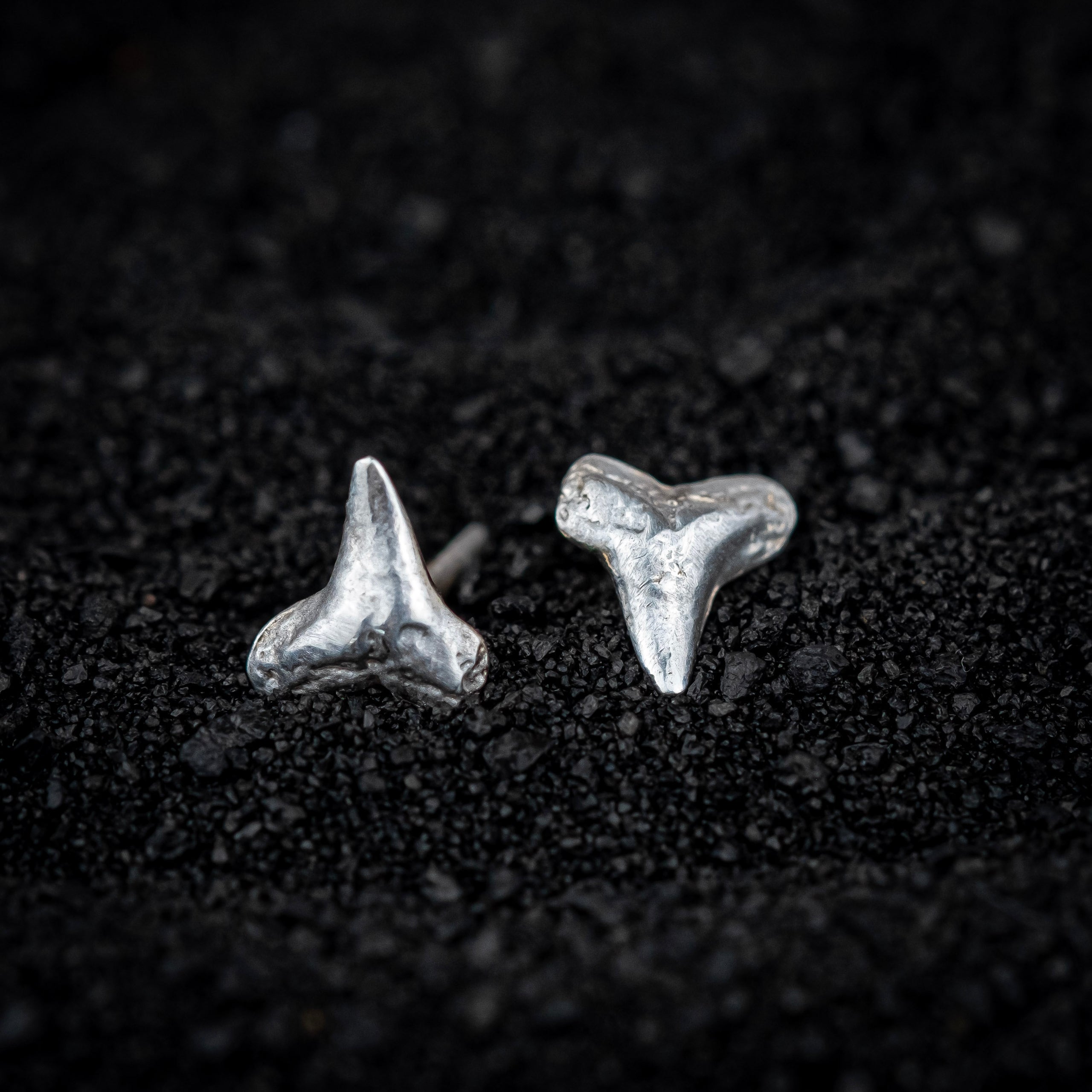 Shark Tooth Stainless Steel Earrings Svaha USA